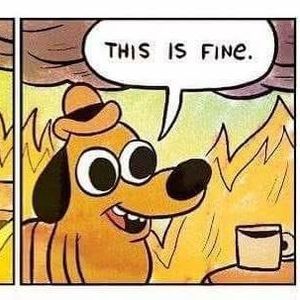 Meet your Posher, Dylan